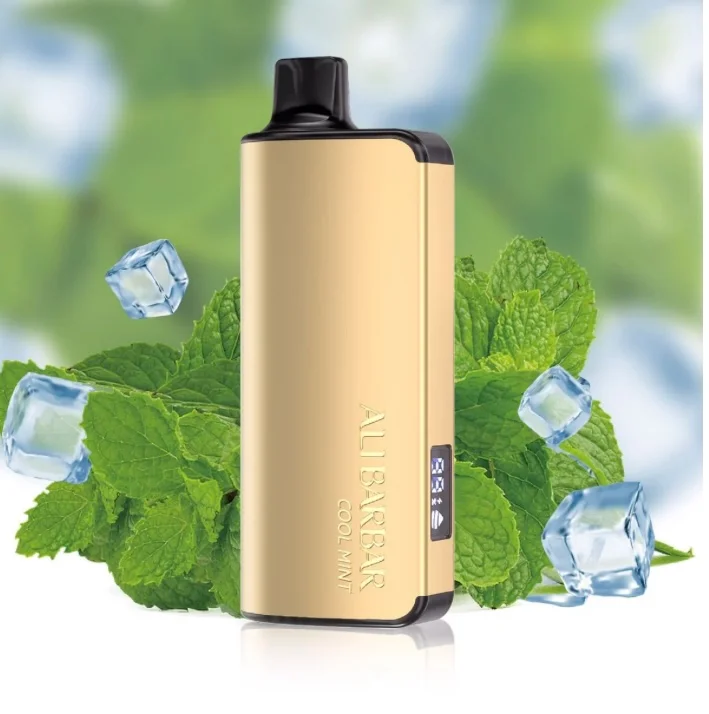 ALIBARBAR INGOT COOL MINT 9000 PUFFS