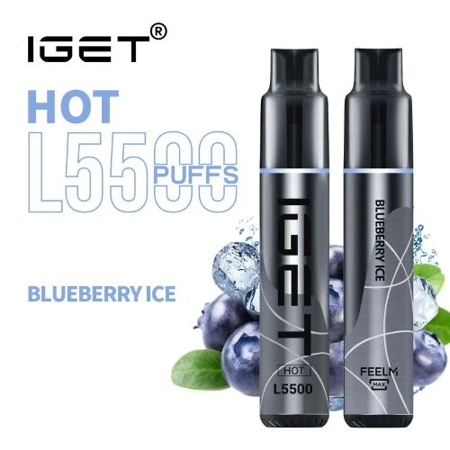 Blueberry Ice – HOT