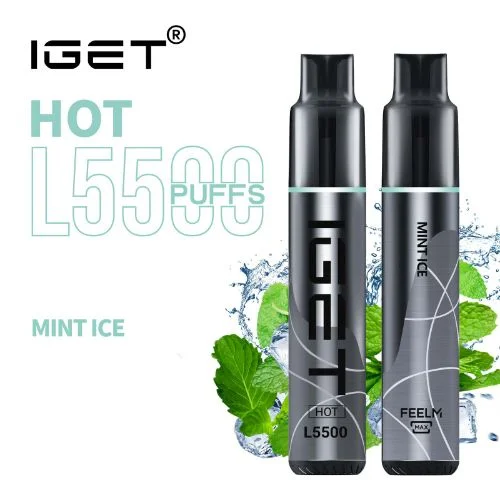 Mint Ice – HOT